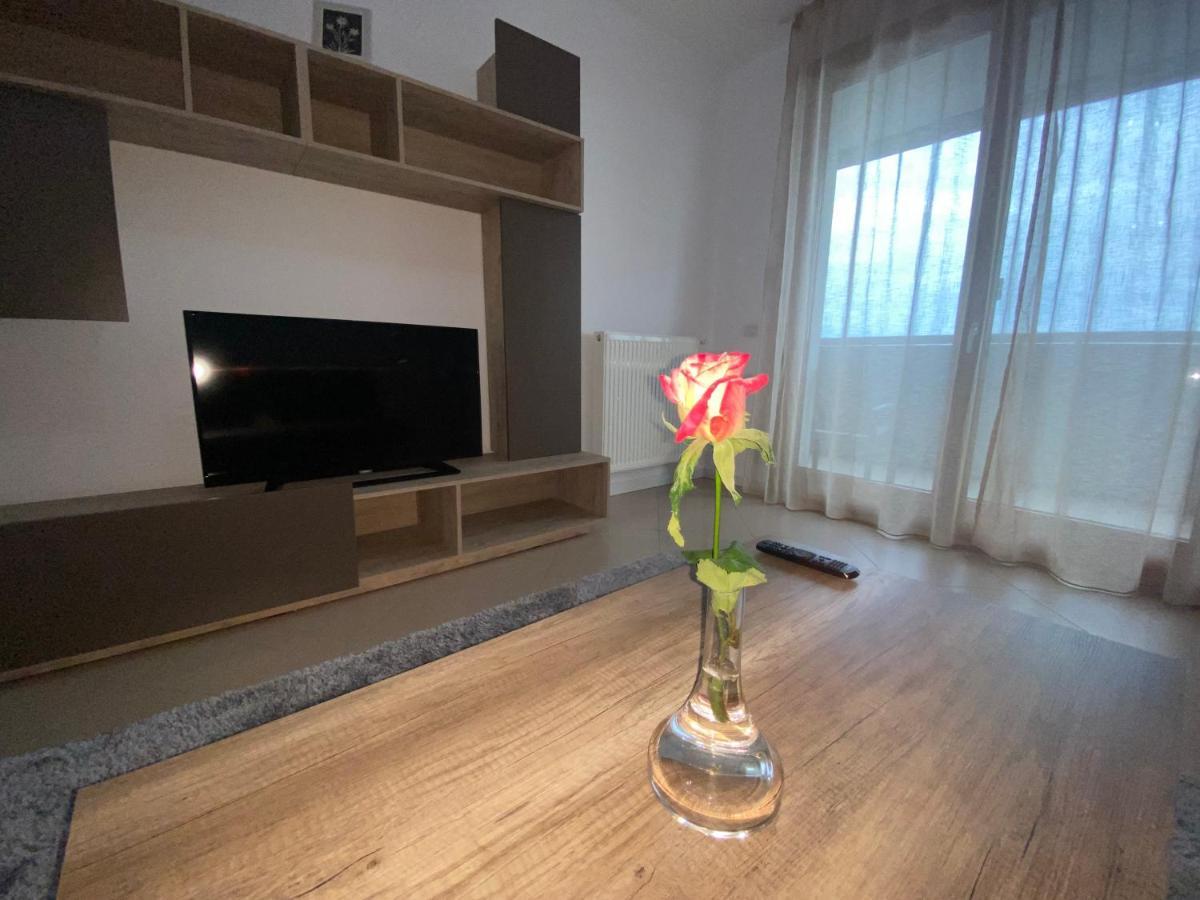 Central Apartment Тимишоара Экстерьер фото