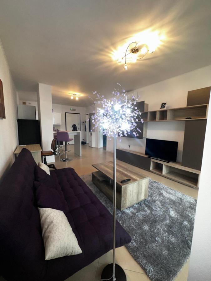 Central Apartment Тимишоара Экстерьер фото