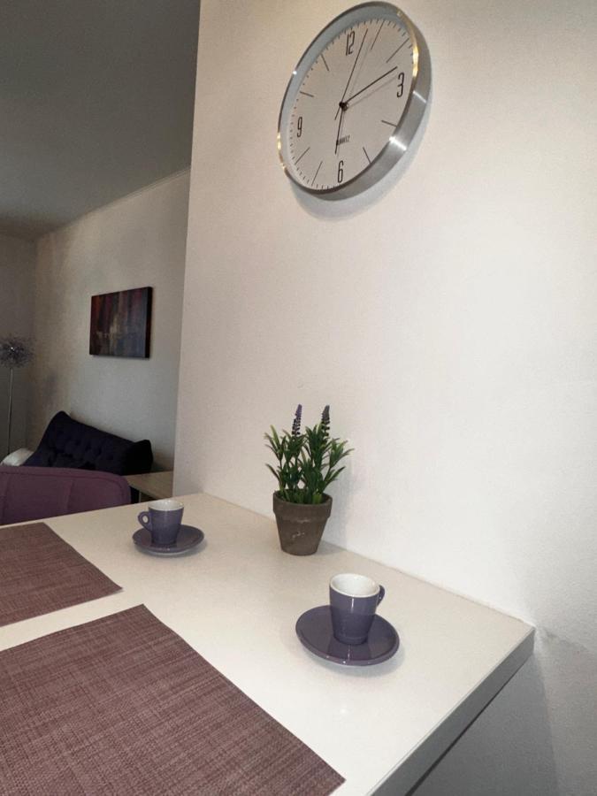 Central Apartment Тимишоара Экстерьер фото