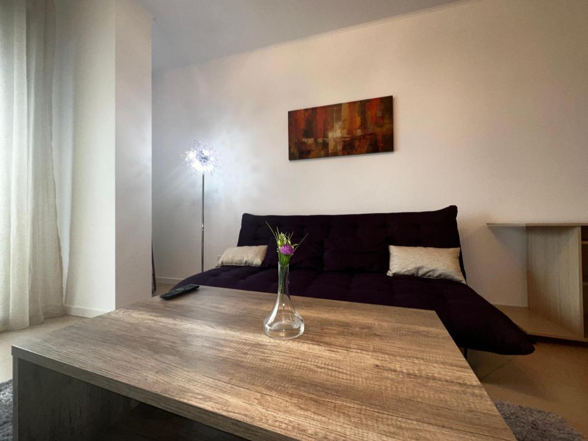 Central Apartment Тимишоара Экстерьер фото