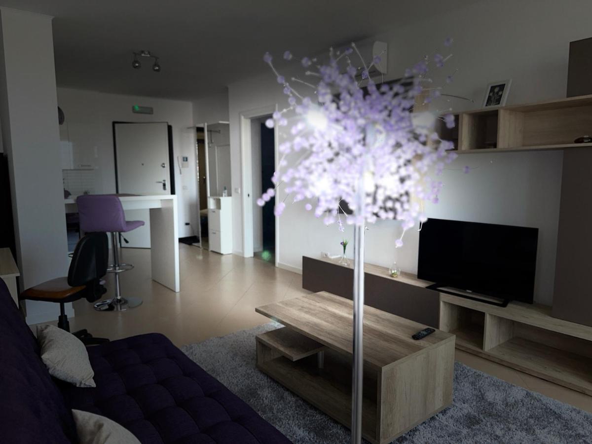 Central Apartment Тимишоара Экстерьер фото