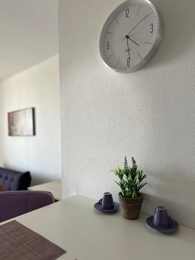 Central Apartment Тимишоара Экстерьер фото