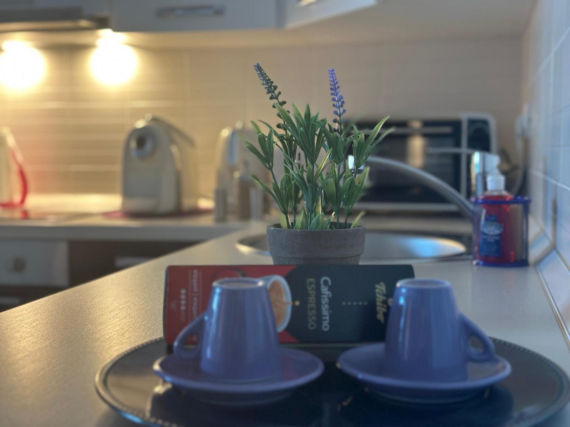 Central Apartment Тимишоара Экстерьер фото